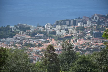 Astonishingly Beautiful Picture Of Madeira's Modernized City