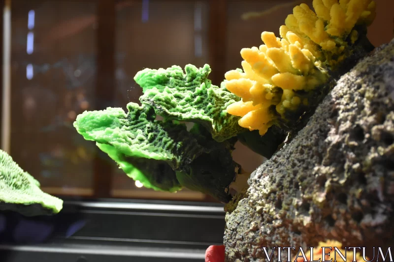 Vibrant Marine Symphony: Yellow and Green Corals Adorning Submerged Rock