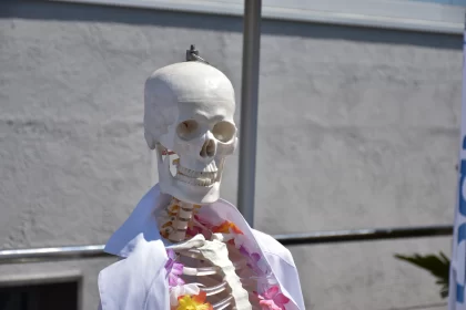 Skeleton in Hawaiian National Flower Decoration
