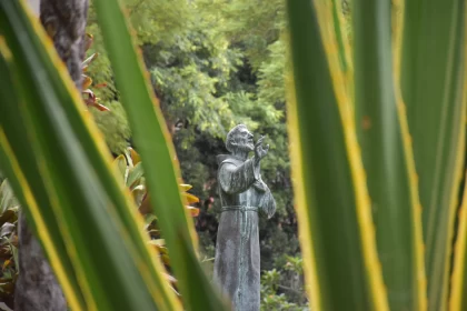 Hidden Treasure In Madeira: The Stone Statue Of Saint Francis Of Assisi Free Stock Photo