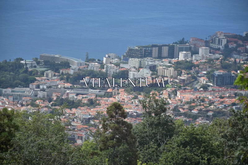 Astonishingly Beautiful Picture Of Madeira's Modernized City Free Stock Photo