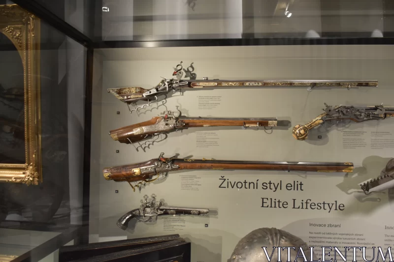 Echoes of Elegance: Exhibit of Czech High Society and Chivalry Weapons Free Stock Photo