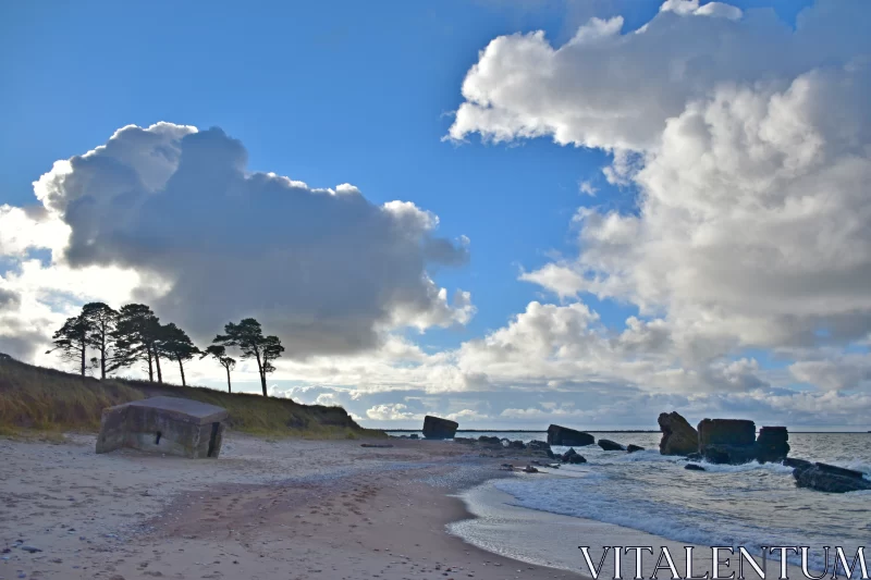 Liepaja: The Sea, the Sand, the Remains of the Fort, the Pine Trees and Tranquillity Free Stock Photo
