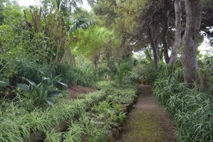 Take A Walk Through The Vibrant and Romantic Green Alley