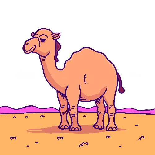 A cartoon camel standing in a desert landscape with a pink sky.