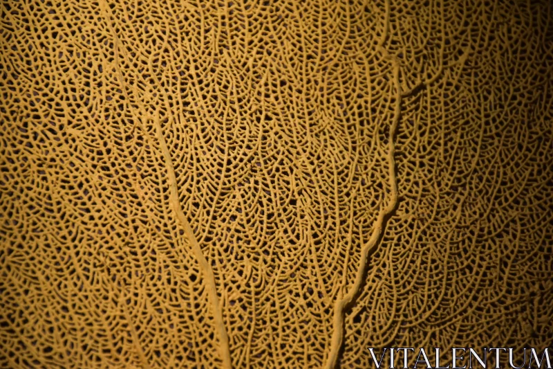 Golden Splendor: Texture of Unusual Yellow Coral Free Stock Photo