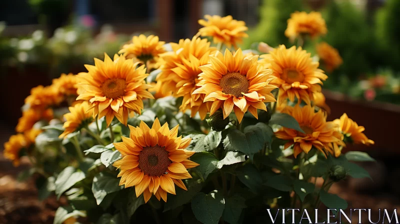 Bright Orange Sunflowers in Backlit Photography Style AI Image