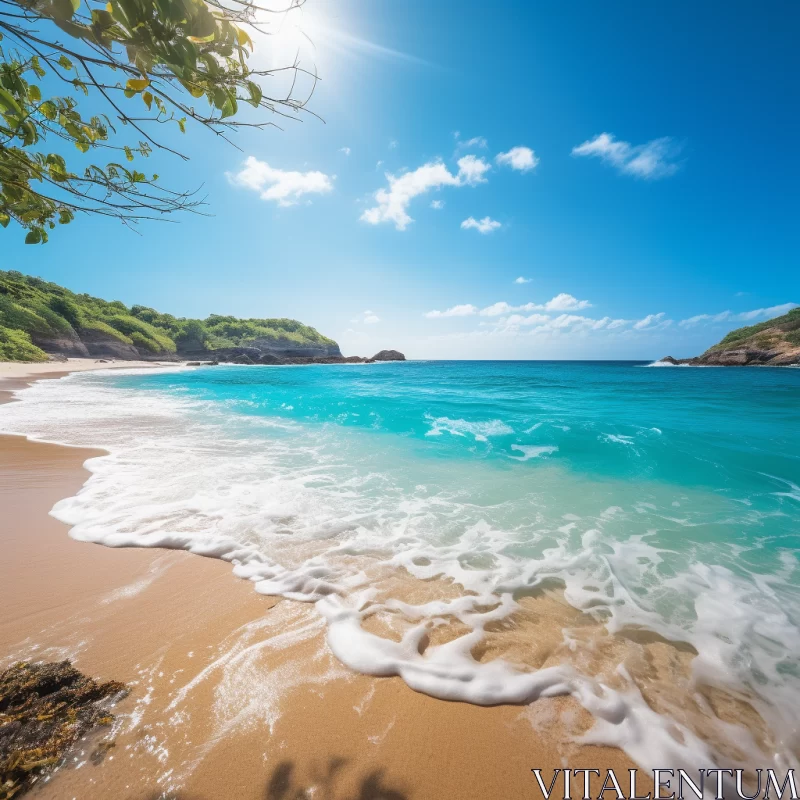 Tropical Paradise: Azure Sea, White Beach & Solitary Palm Tree AI Image