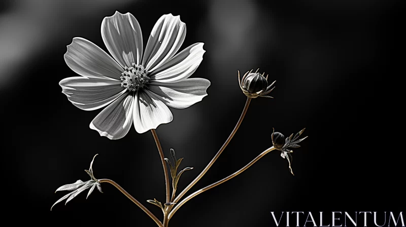 Monochrome Floral Art in Daz3D Style with Prairiecore Theme AI Image