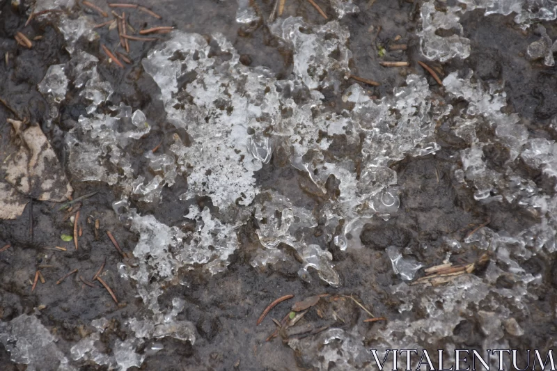 PHOTO Intricate Detail of Ice on Ground - A Winter's Microscopic View