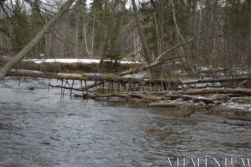 Winter Rivers and Environmental Activism - A Photographic Journey Free Stock Photo