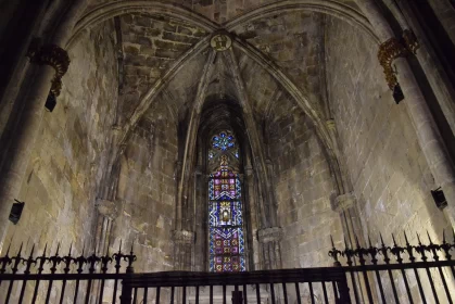 Barcelona Cathedral Interior: A Tranquil View