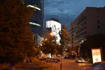 Illuminated Cityscape: Urban Life under Neon Lights