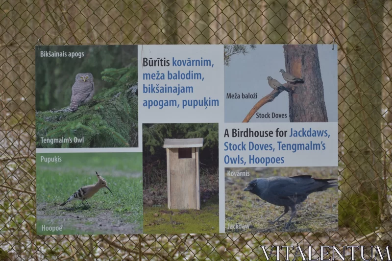 Four Signs with Birds - Wildlife Photography in Secluded Settings Free Stock Photo