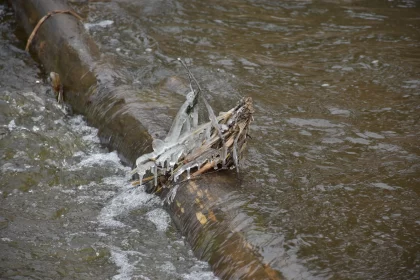 Nature's Artistry: Logs in River Mimicking Metallic Sculpture