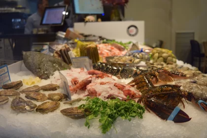 Seafood Display in Frostpunk Style Free Stock Photo
