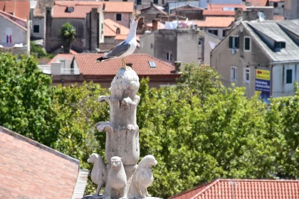 Two Birds on a Statue in a Medieval City