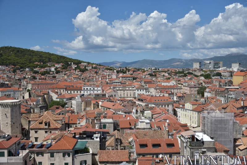 PHOTO Romanesque Cityscape: Silver and Brown Hues on Red Roofs