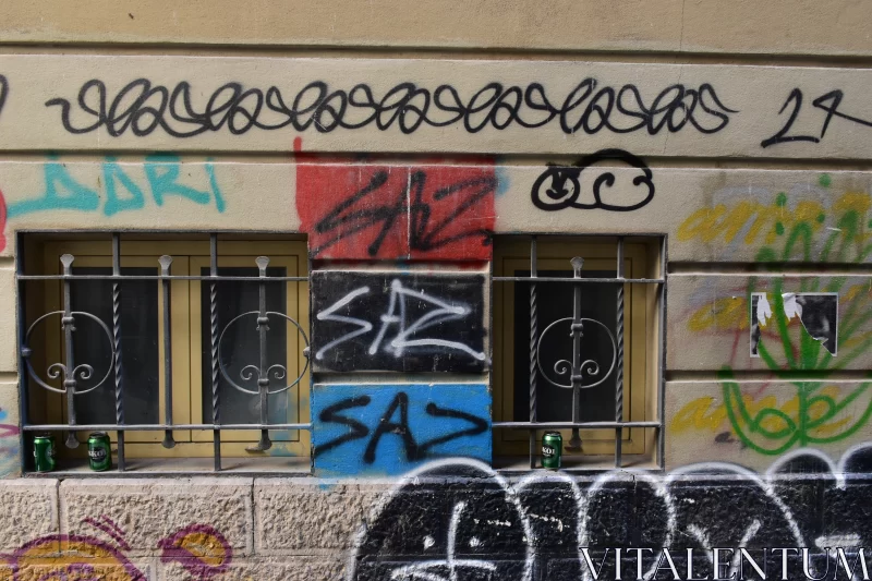 Urban Artistry: Graffiti and Neo-academism Free Stock Photo
