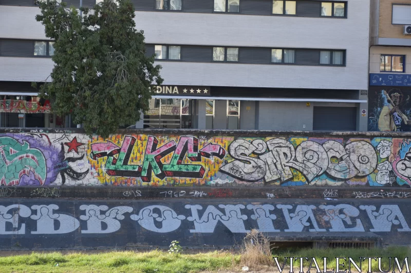 PHOTO Urban Energy and Graffiti Art: A Progressive Academia Tableau