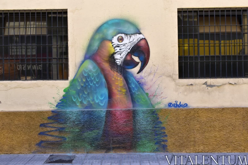 Colorful Parrot Mural - Street Art in Barcelona, Spain Free Stock Photo
