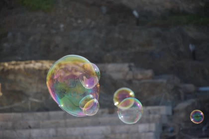 Serene Display of Soap Bubbles in Nature Free Stock Photo