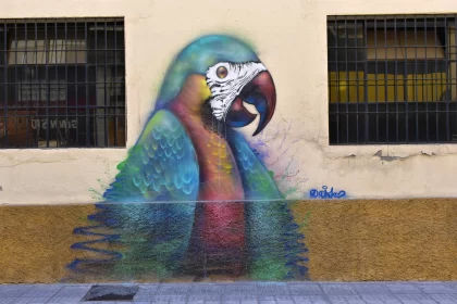 Colorful Parrot Mural - Street Art in Barcelona, Spain Free Stock Photo