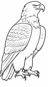 Bald Eagle Coloring Page with Naturecore Aesthetics