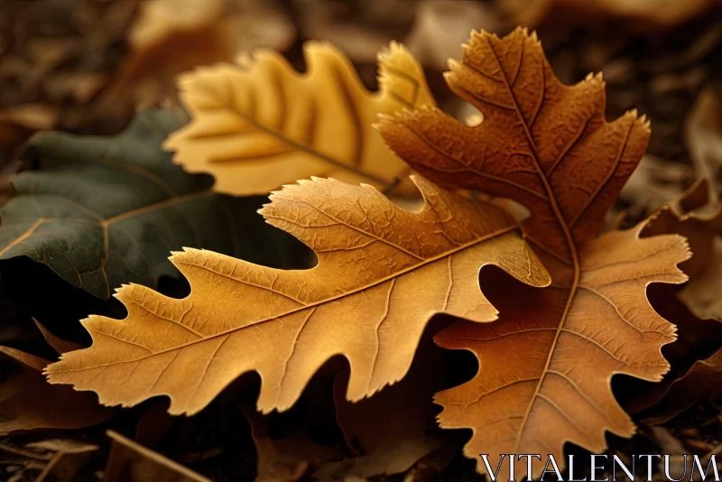 Nature-Inspired Still Life with Autumn Leaves AI Image
