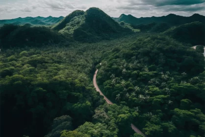 Tropical Mountain Forest Aerial View - Serene Nature Photography