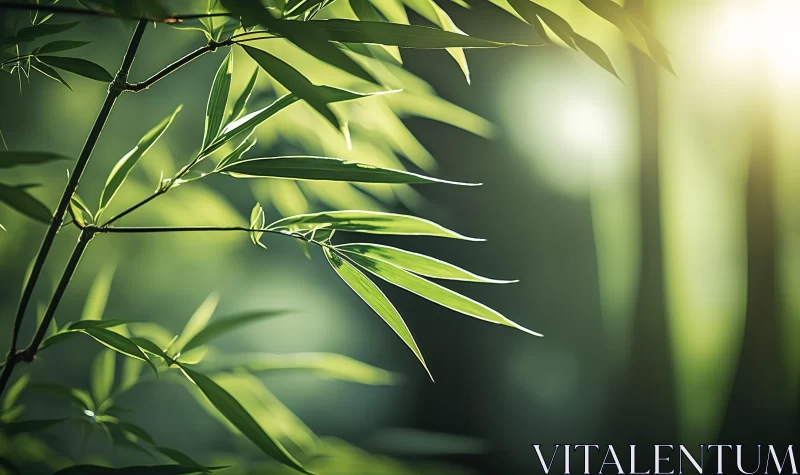AI ART Sunlit Bamboo Leaves - Tranquil Gardenscape