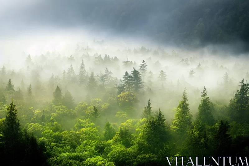 Foggy Forest Landscape with Mountainous Vistas AI Image