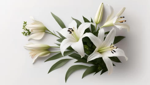 White Lilies and Green Leaves - Minimalist Non-representational Photography
