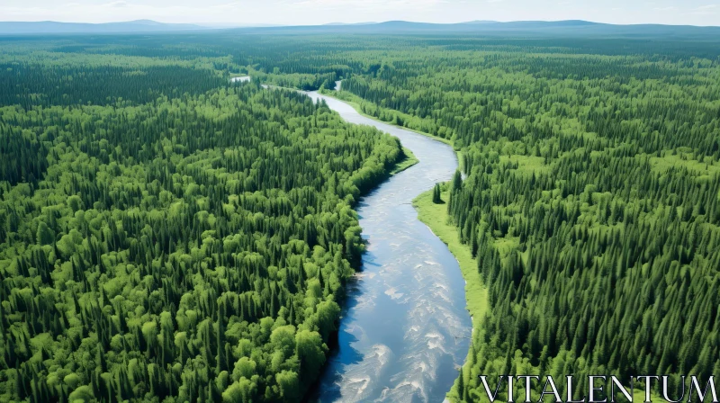 Aerial View of River Flowing Through Lush Forest AI Image