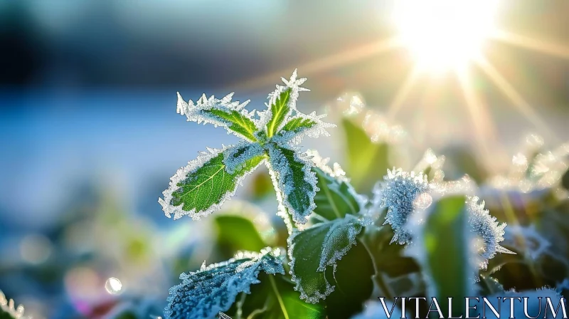 Sparkling Green Plant Covered in Frost AI Image