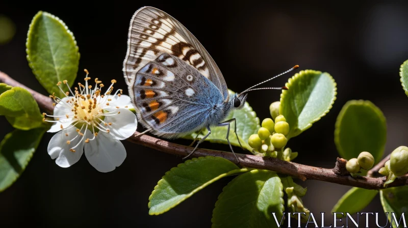 AI ART Blue Butterfly on Branch with White Flowers