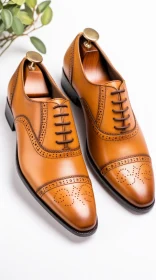 Brown Leather Brogue Wingtip Shoes on White Background