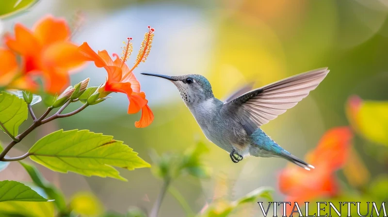 Hummingbird Flying Towards Red Hibiscus Flower AI Image