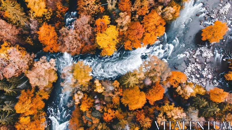 Autumn River Flowing Through Forest - Aerial View AI Image