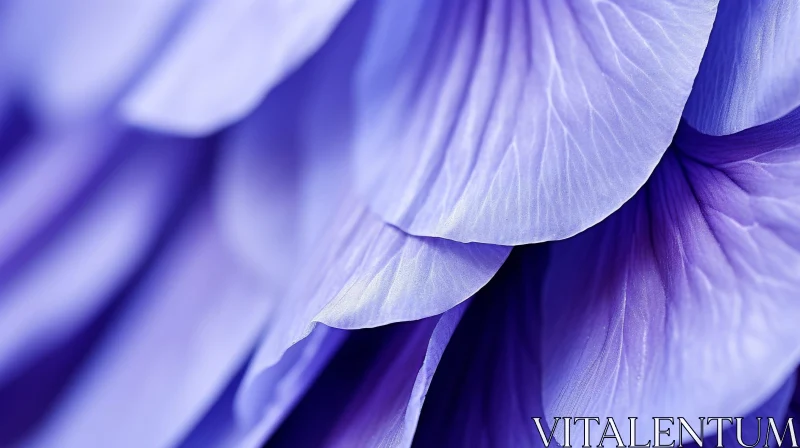 Spiral Purple Flower Petals Close-Up AI Image