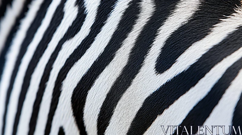 Detailed Zebra Fur Close-up in Natural Light AI Image