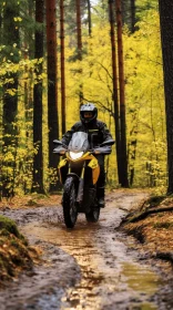 Woman Riding Motorcycle on Dirt Road | Dark Yellow and Dark Gray