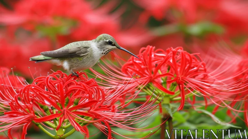 Close-Up Hummingbird on Red Flower AI Image