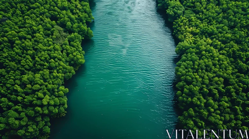 AI ART Tranquil Aerial View of River Flowing Through Lush Green Forest