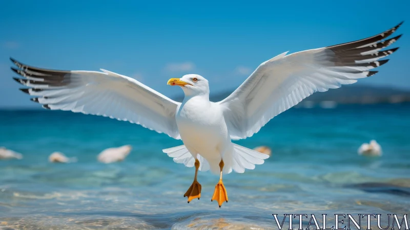 Graceful Seagull Flying Over Blue Sea AI Image
