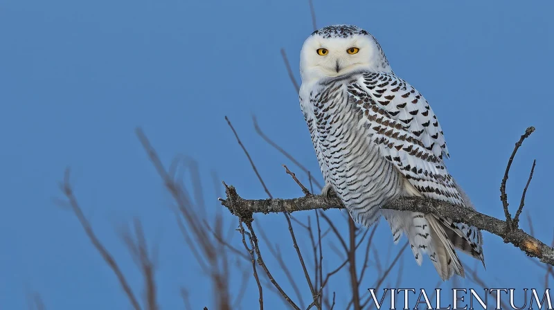Snowy Owl Perched on Branch - Stunning Wildlife Photography AI Image