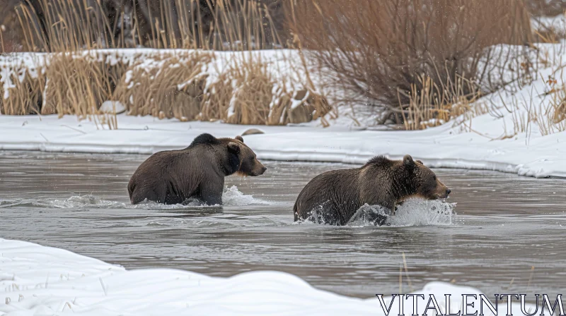 AI ART Winter Encounter: Two Grizzly Bears in a River