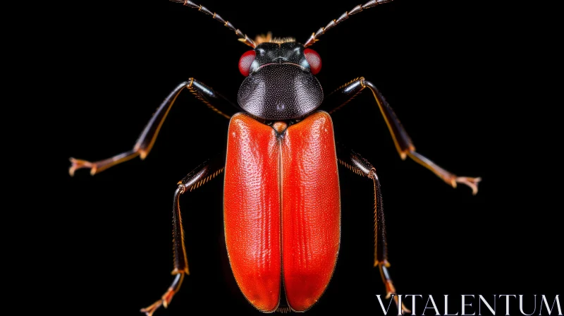 AI ART Red and Black Beetle Macro Photo