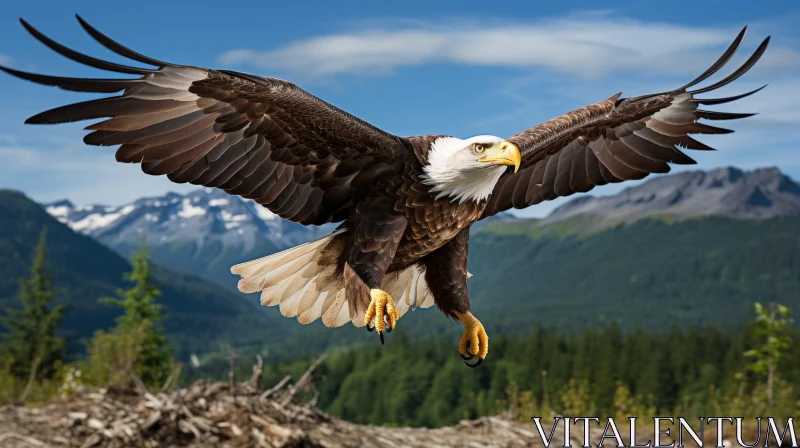 AI ART Majestic Bald Eagle in Flight Over Snowy Mountain Range