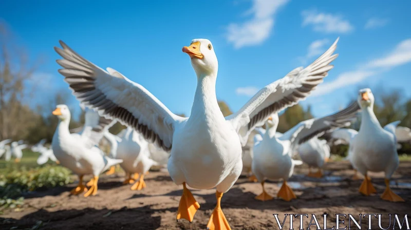White Goose Walking in Field with Outstretched Wings AI Image